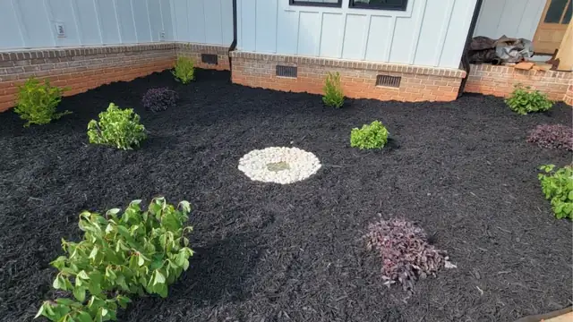 Black mulch bed with new plantings and river rock accent in Charlotte, NC