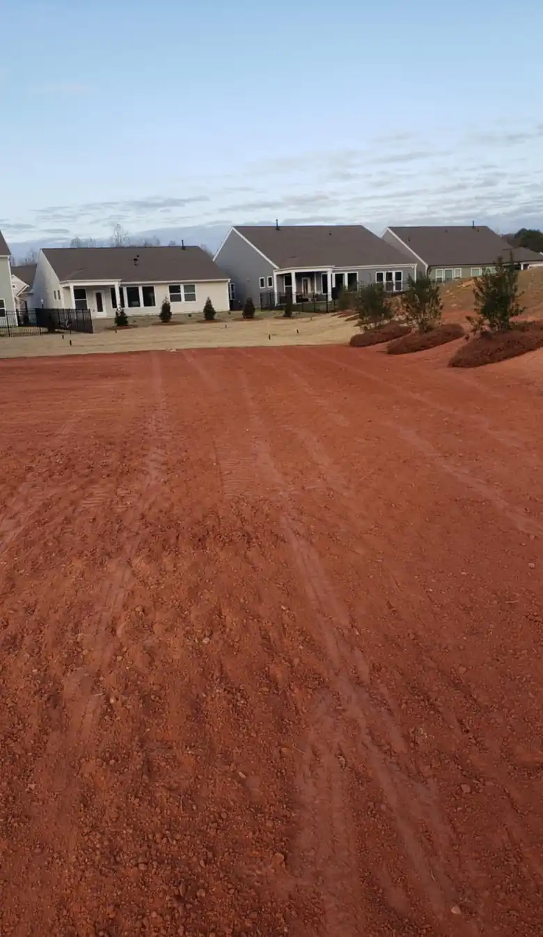 New landscape planting and grading near finished homes in Charlotte, NC