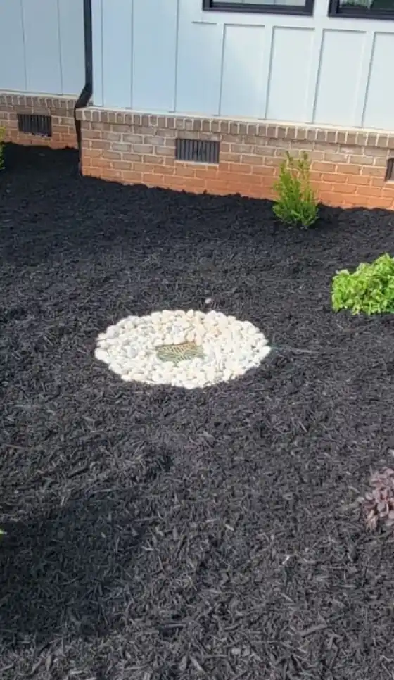 Fresh black mulch installed around foundation beds in Charlotte, NC